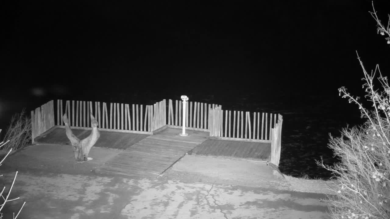 Webcam Ribnik Vrbje – Žalec