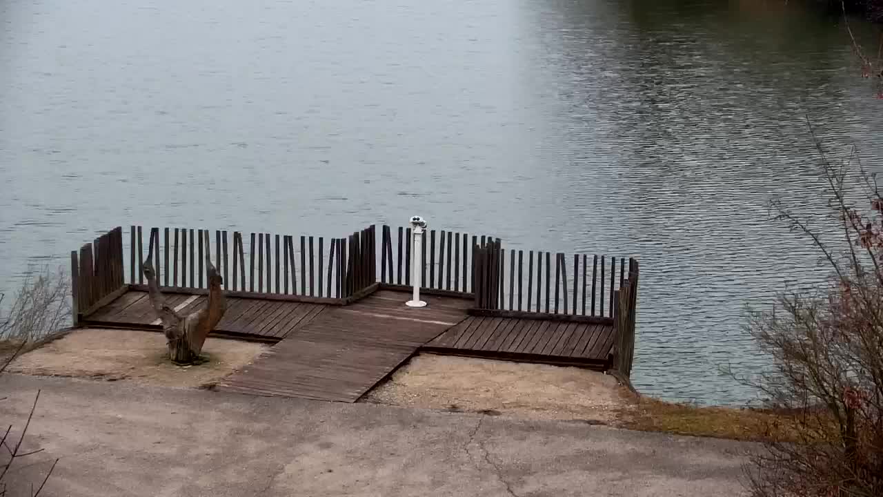 Webcam Ribnik Vrbje – Žalec