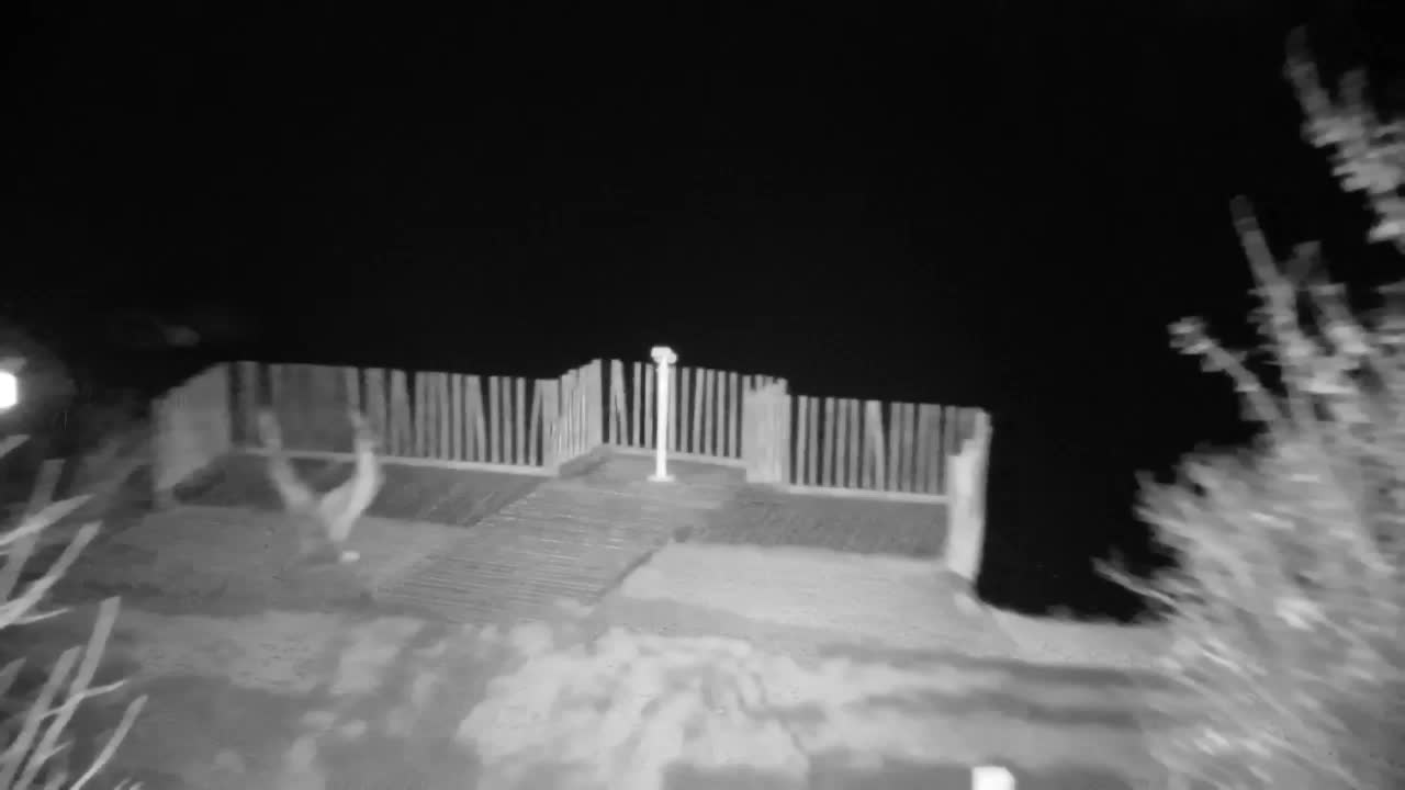 Webcam Ribnik Vrbje – Žalec