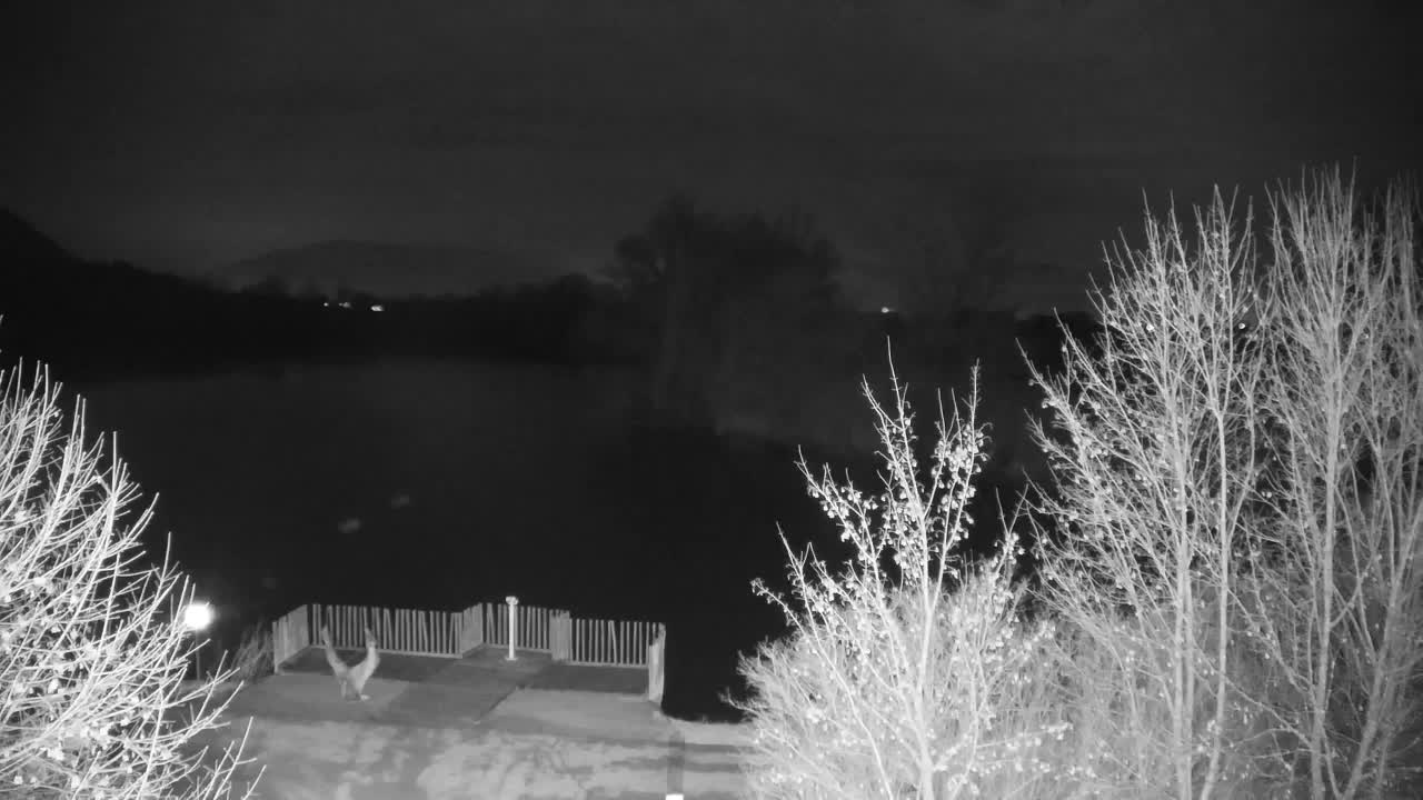 Webcam Ribnik Vrbje – Žalec