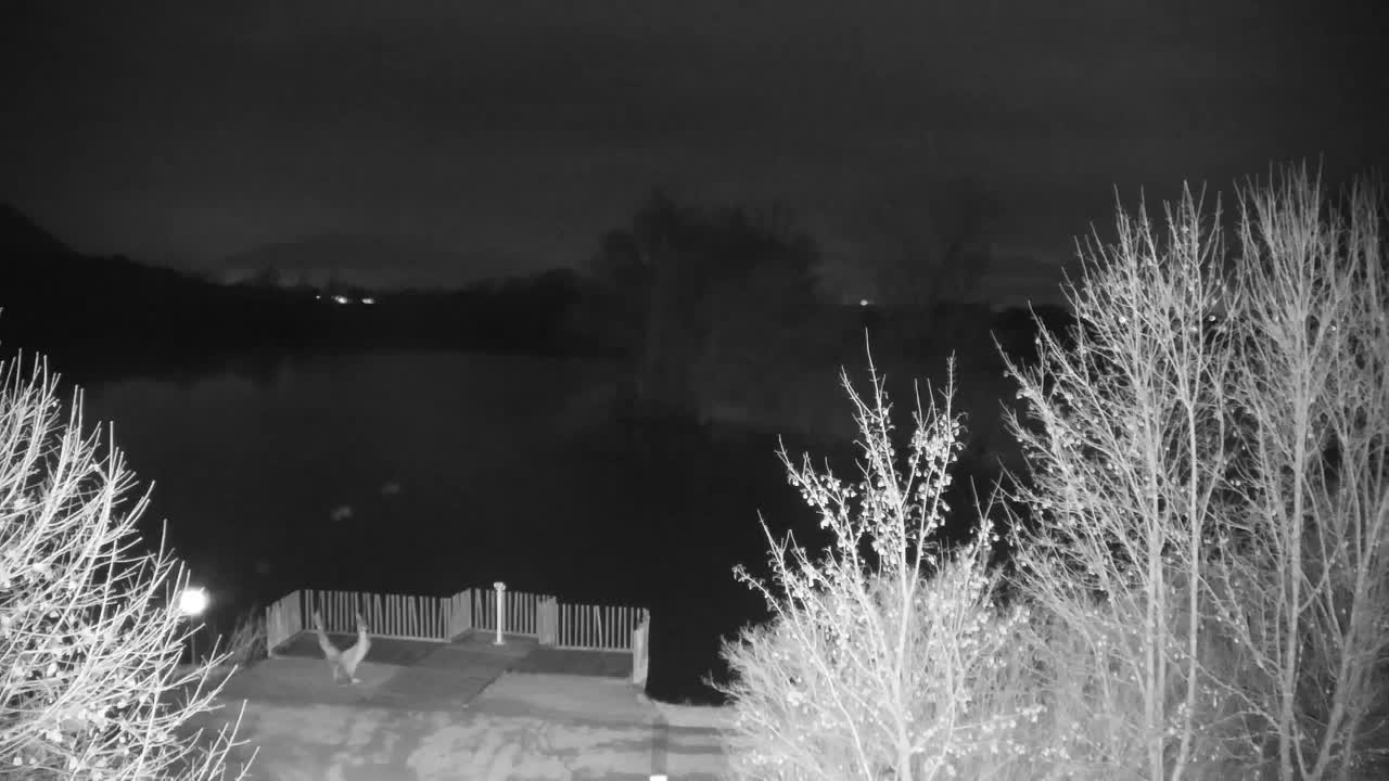 Webcam Ribnik Vrbje – Žalec