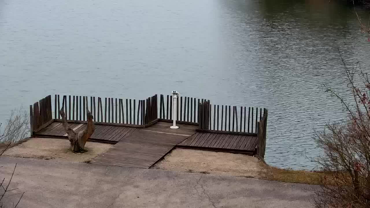 Webcam Ribnik Vrbje – Žalec