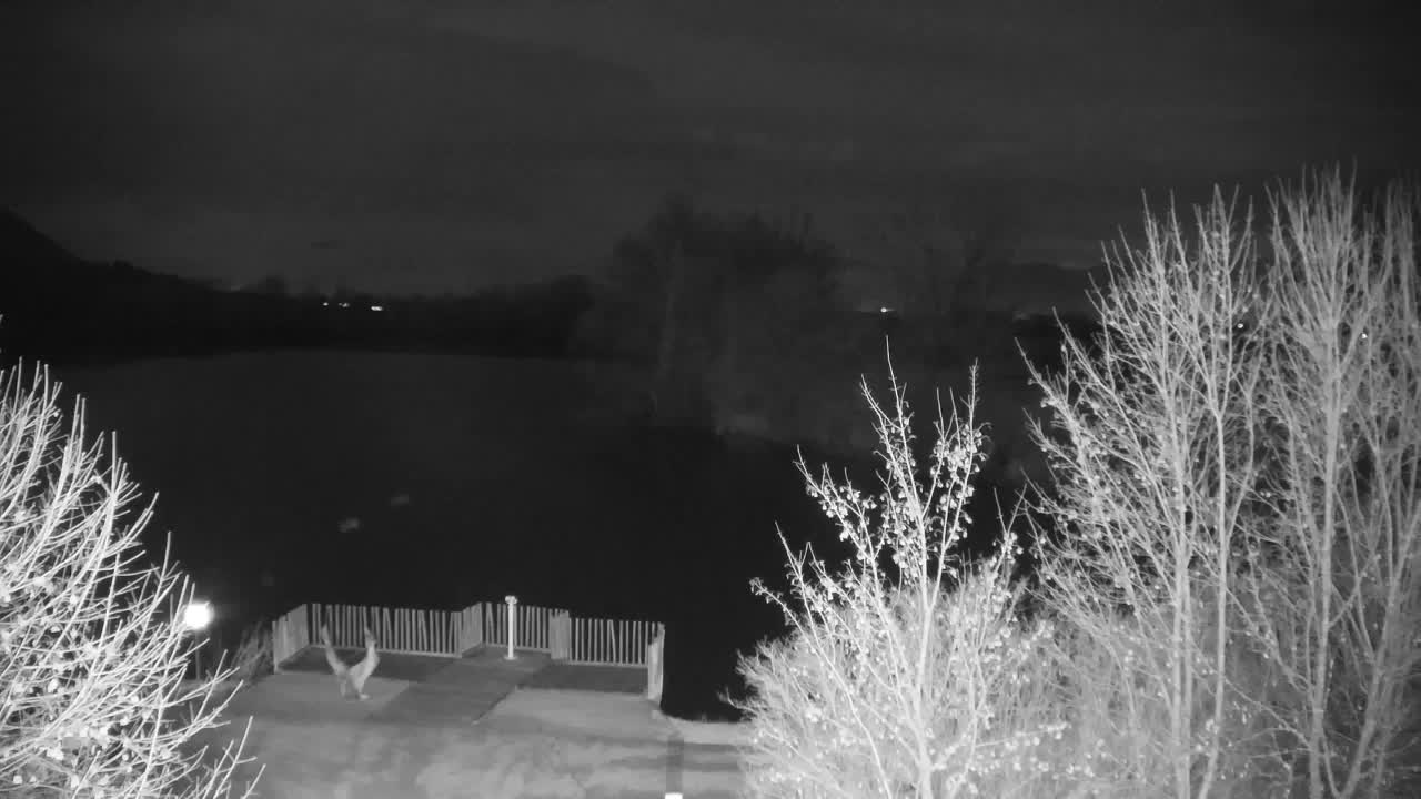 Spletna kamera Ribnik Vrbje – Žalec