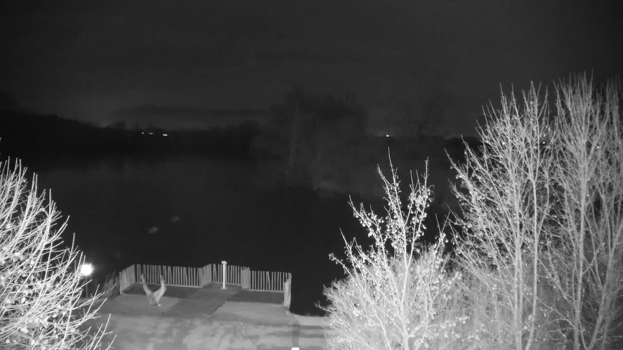 Webcam Ribnik Vrbje – Žalec