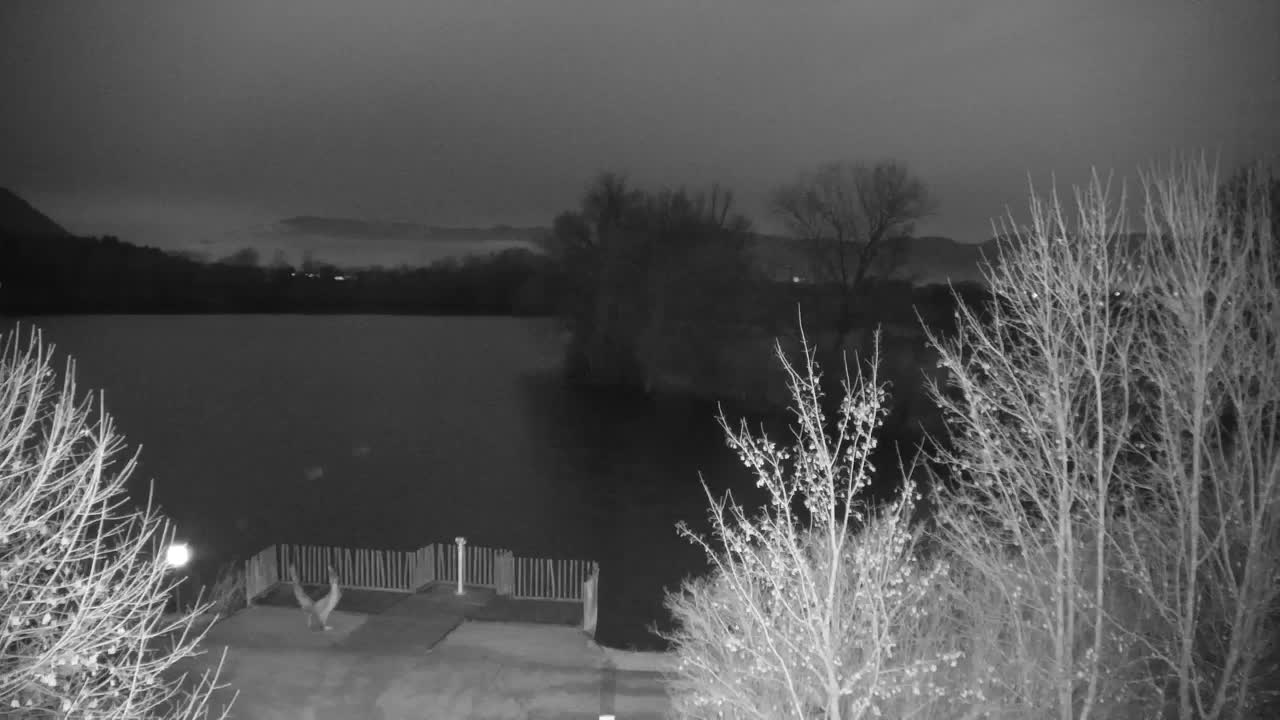 Webcam Ribnik Vrbje – Žalec