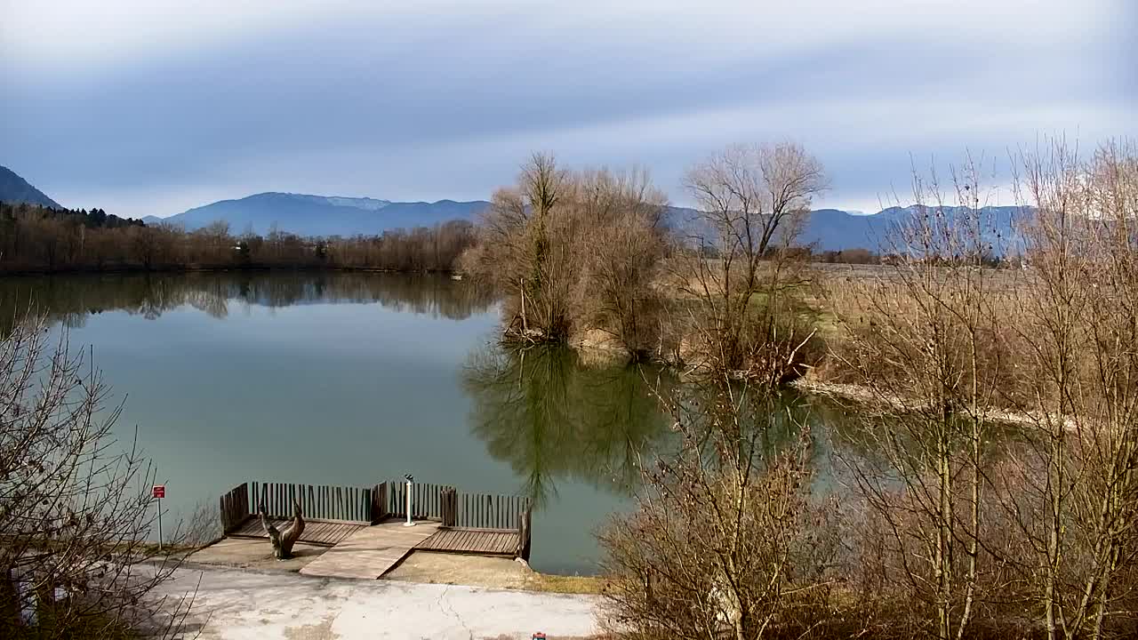 Webcam Ribnik Vrbje – Žalec