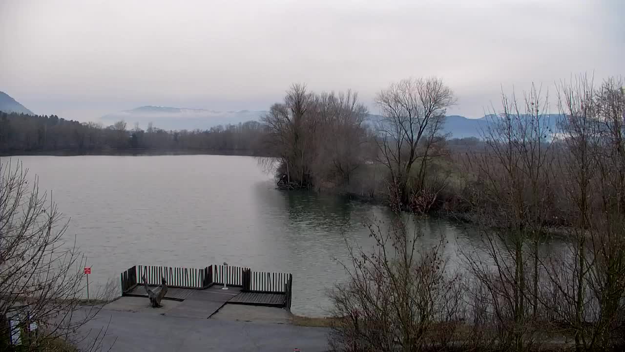 Webcam Ribnik Vrbje – Žalec