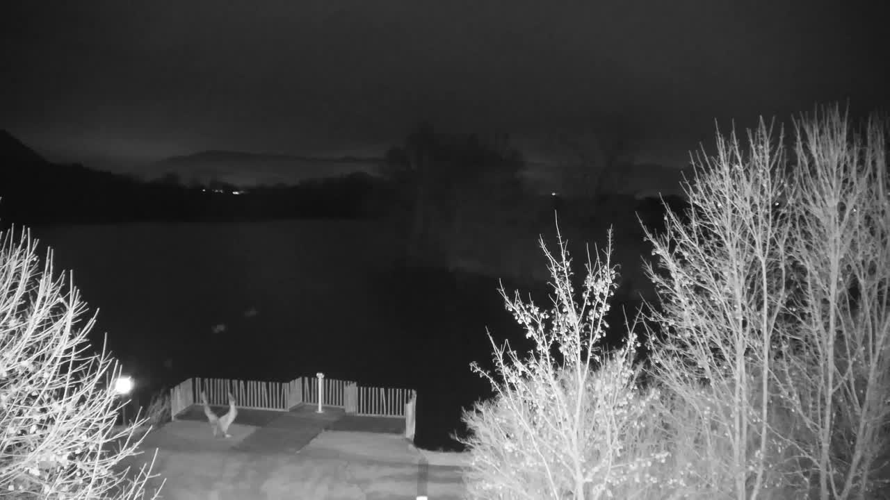 Webcam Ribnik Vrbje – Žalec