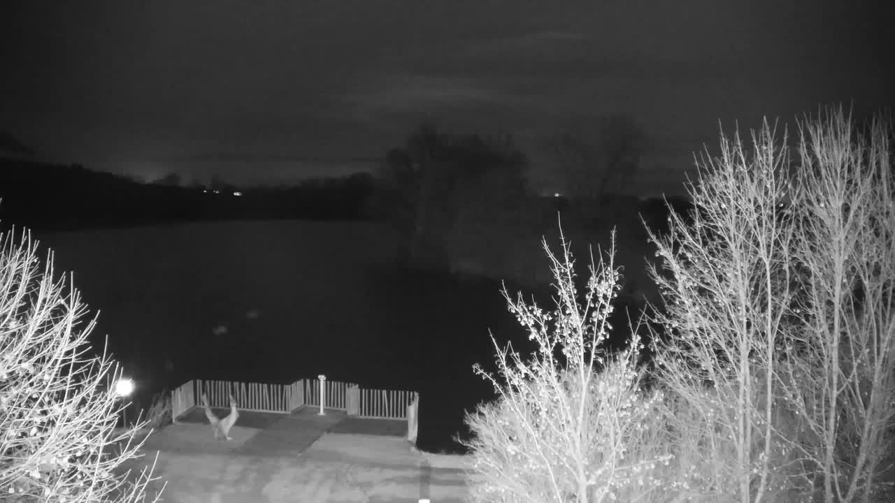 Webcam Ribnik Vrbje – Žalec