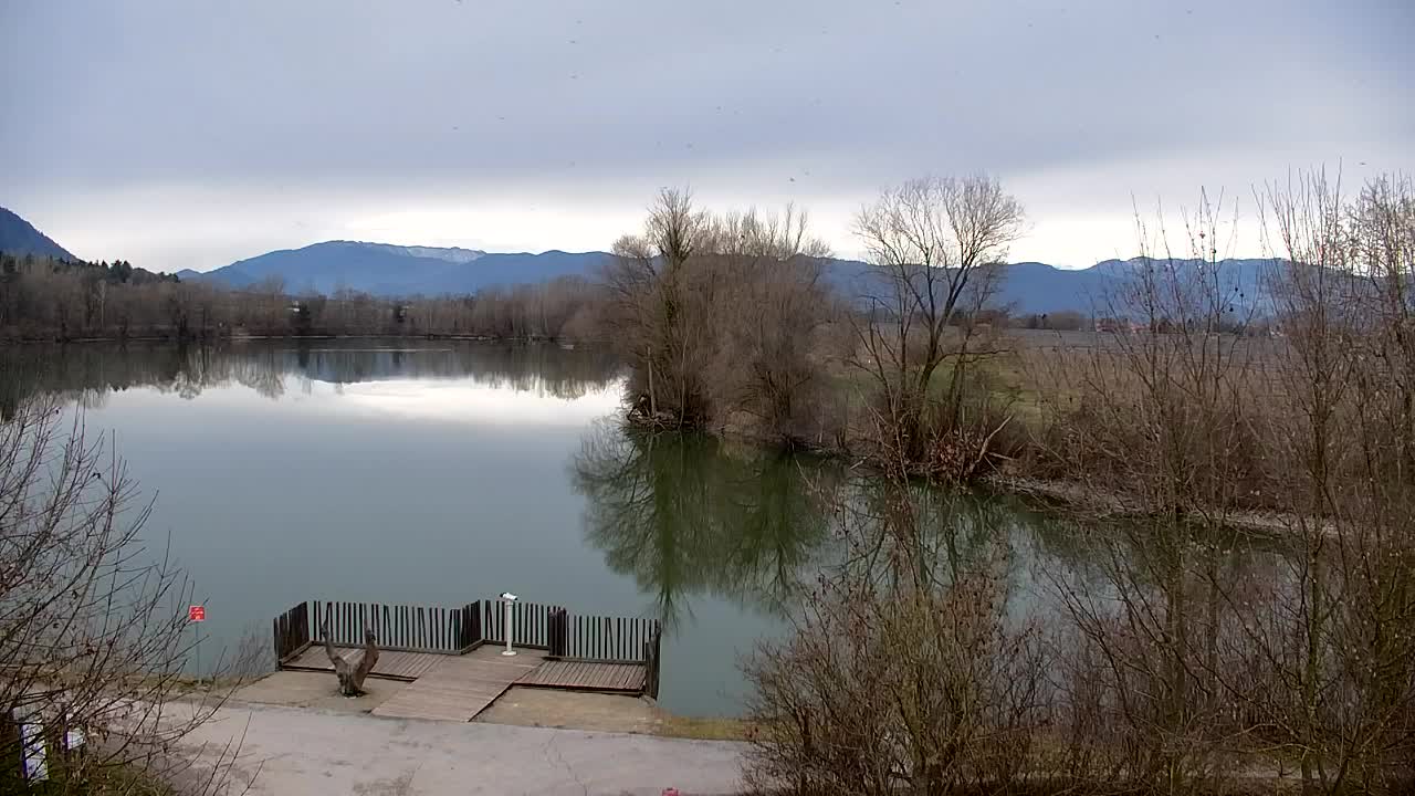 Webcam Ribnik Vrbje – Žalec