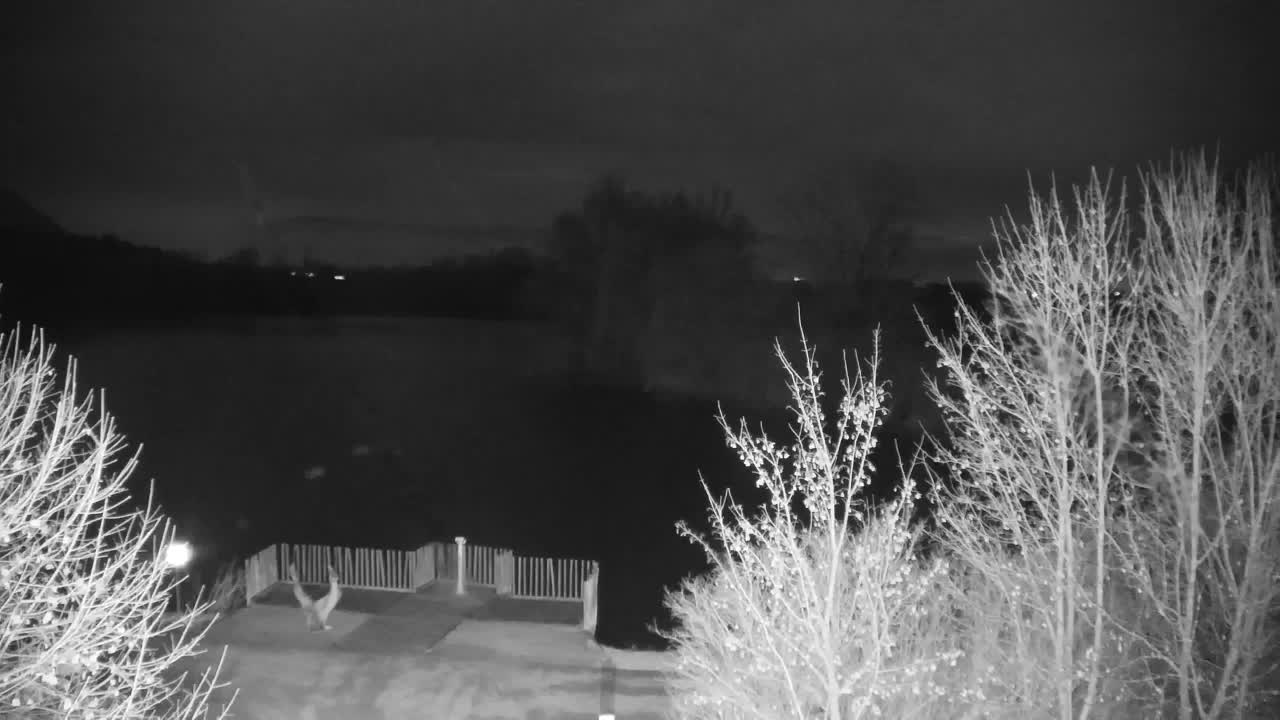 Webcam Ribnik Vrbje – Žalec