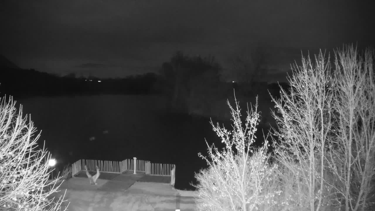 Webcam Ribnik Vrbje – Žalec