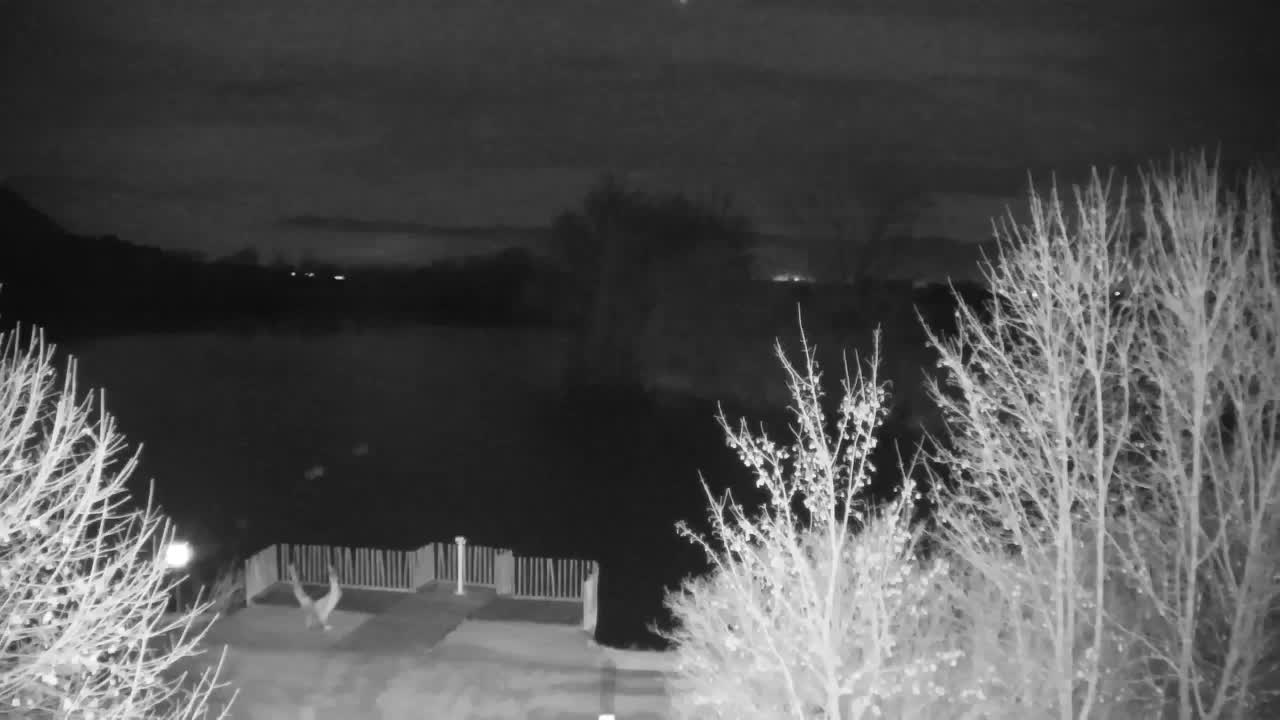 Webcam Ribnik Vrbje – Žalec