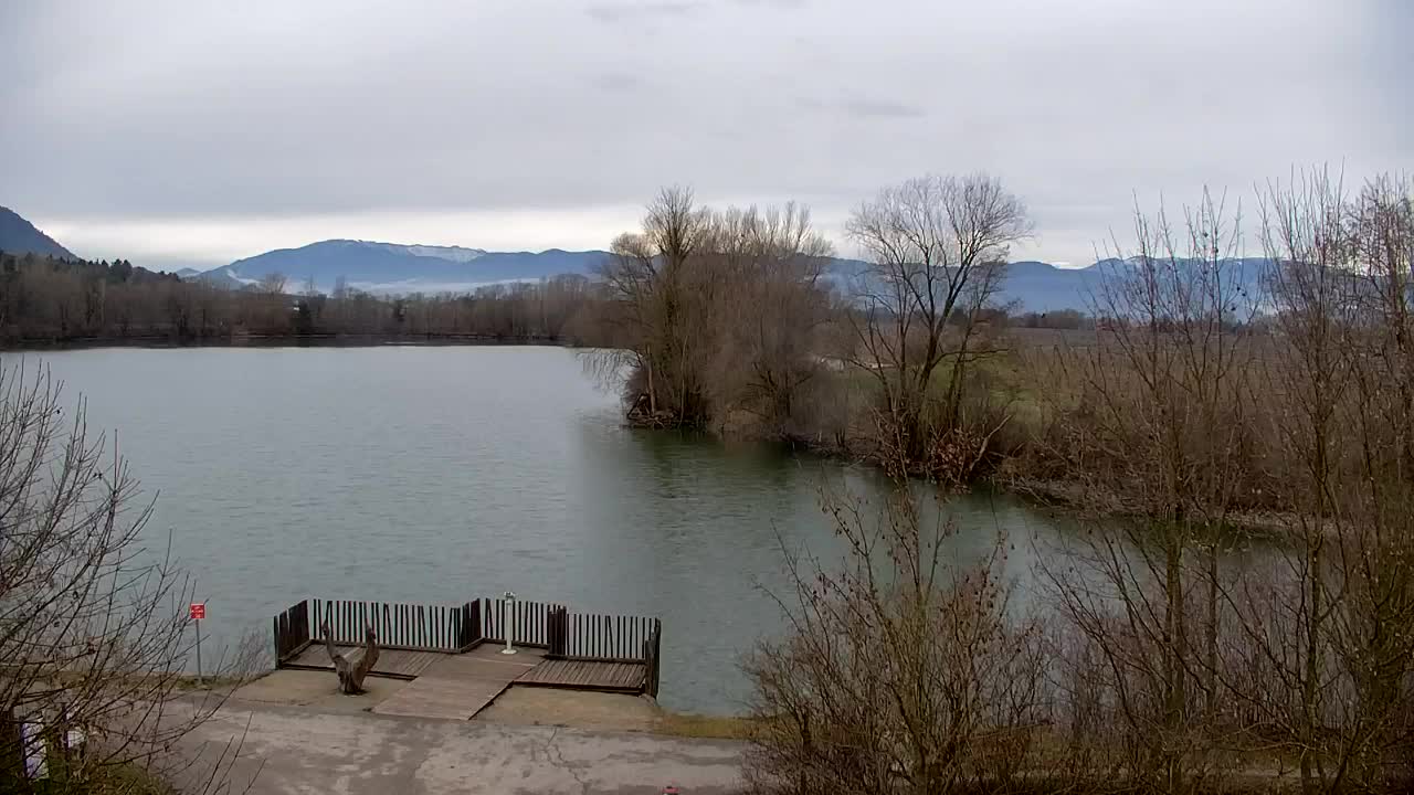 Webcam Ribnik Vrbje – Žalec