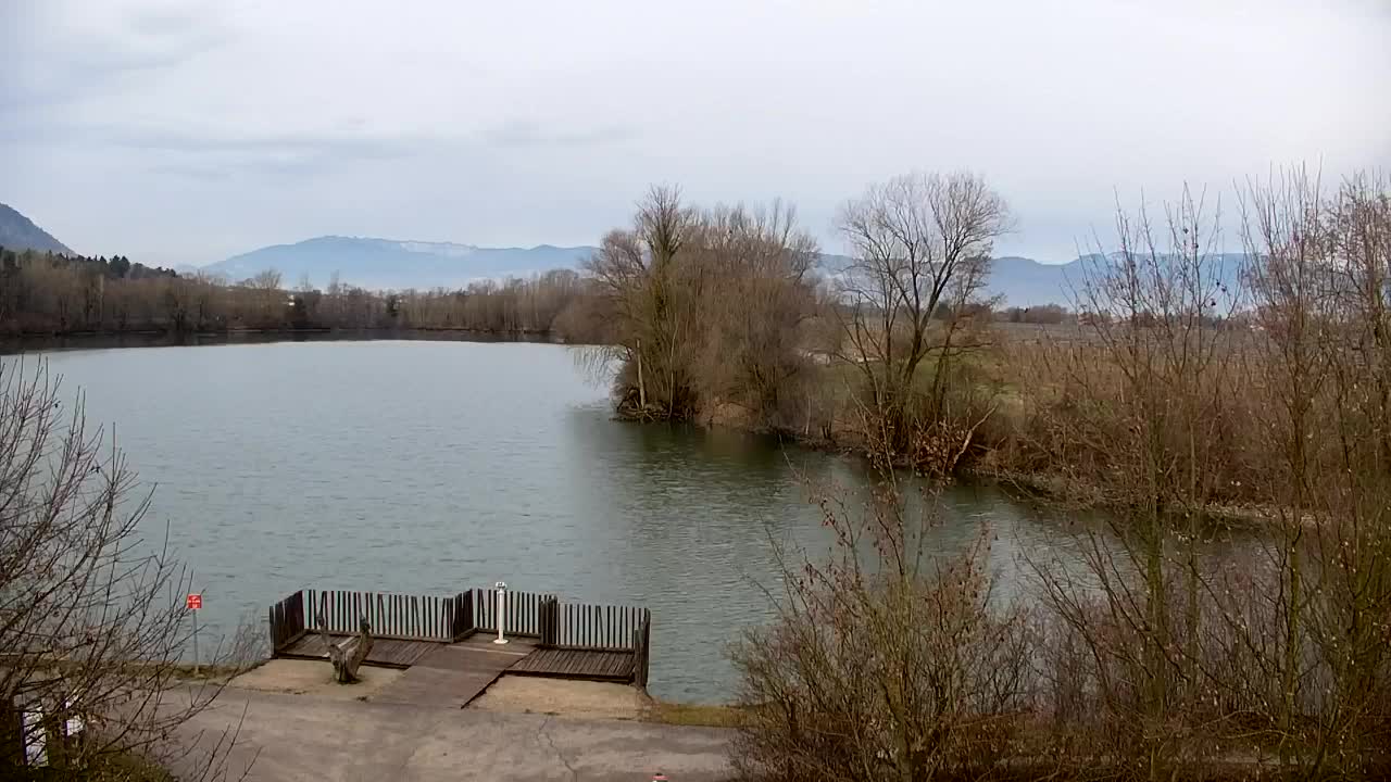 Webcam Ribnik Vrbje – Žalec