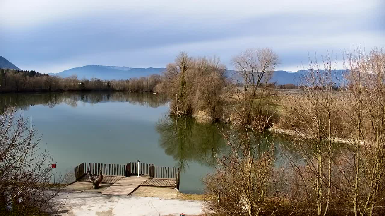 Web kamera Ribnik Vrbje – Žalec