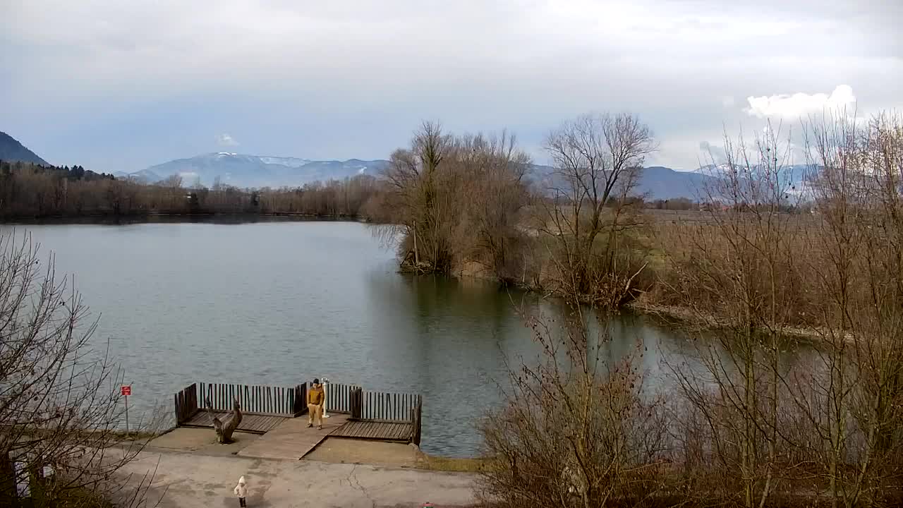 Webcam Ribnik Vrbje – Žalec