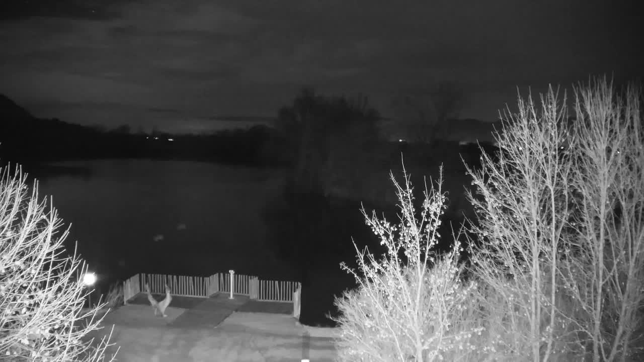 Webcam Ribnik Vrbje – Žalec