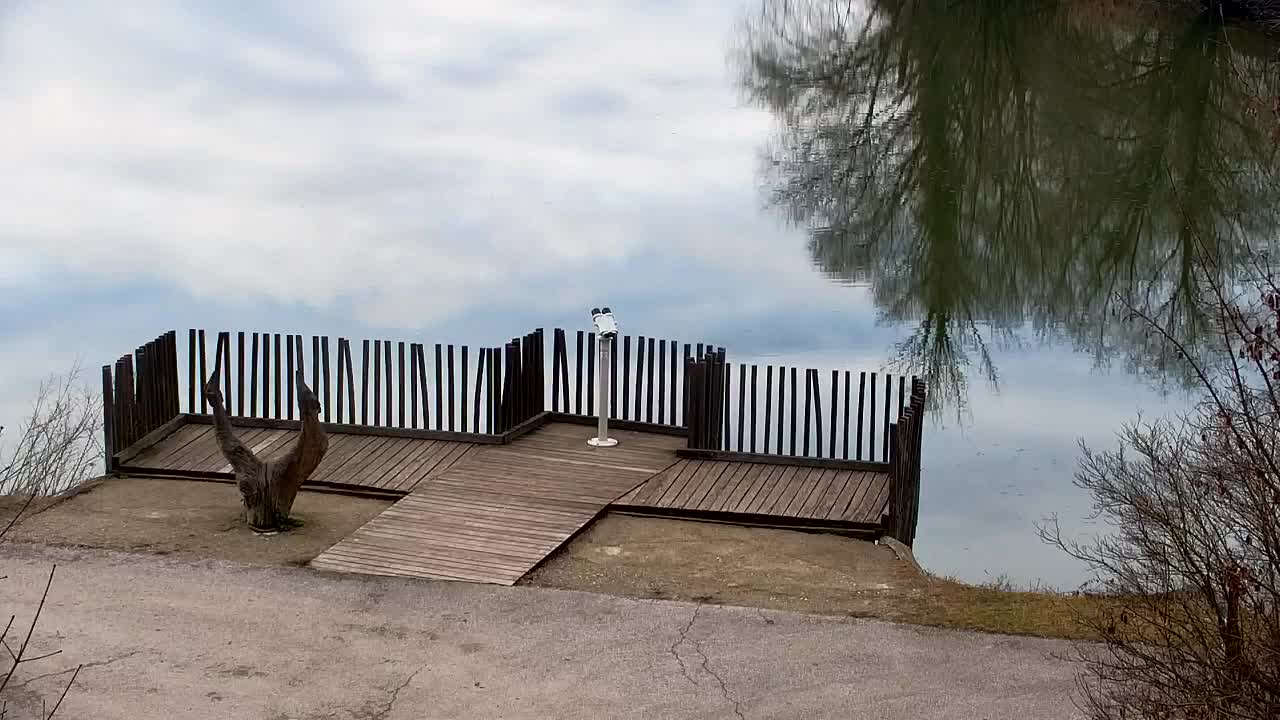 Webcam Ribnik Vrbje – Žalec