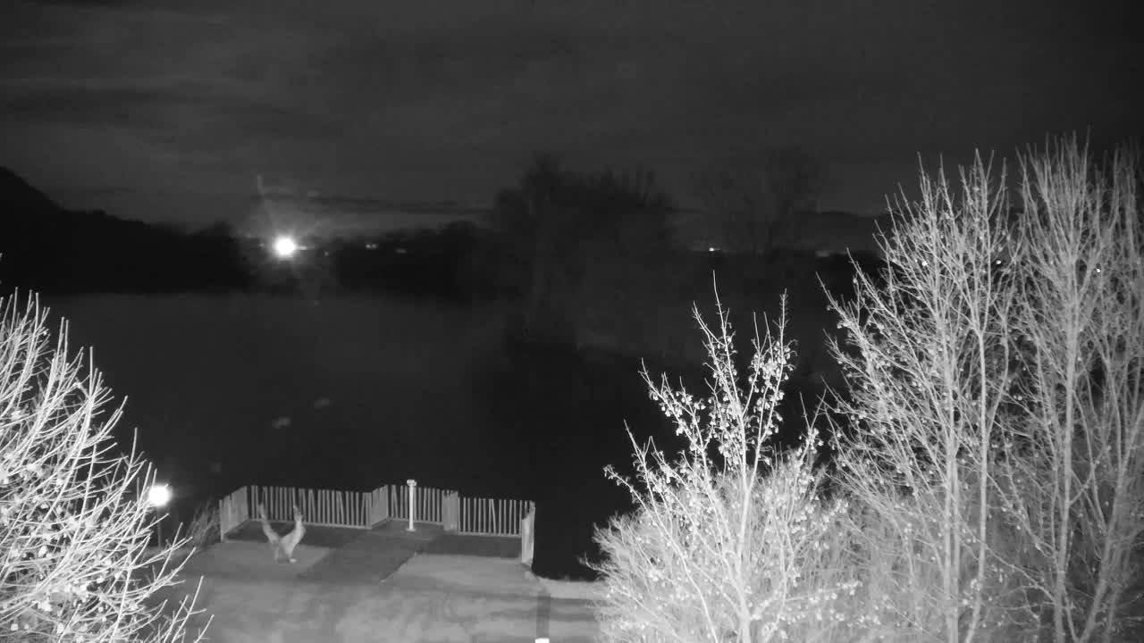 Webcam Ribnik Vrbje – Žalec