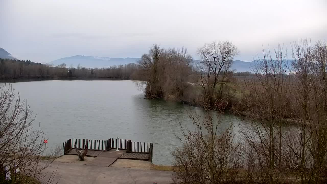 Webcam Ribnik Vrbje – Žalec