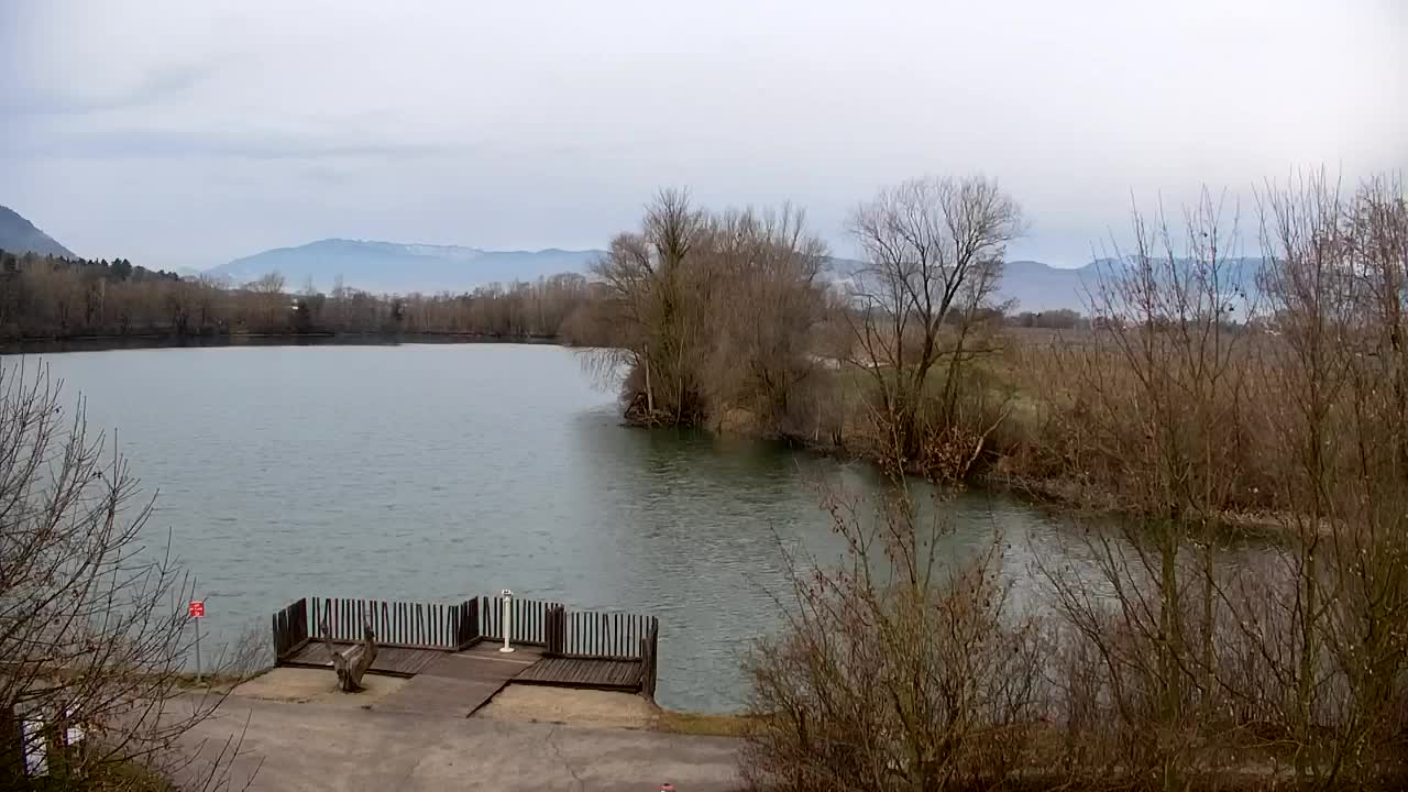 Spletna kamera Ribnik Vrbje – Žalec