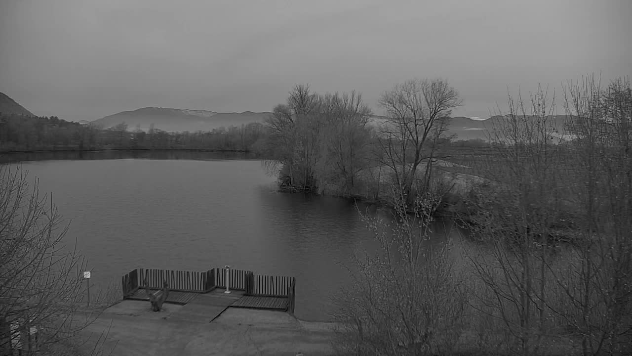 Webcam Ribnik Vrbje – Žalec