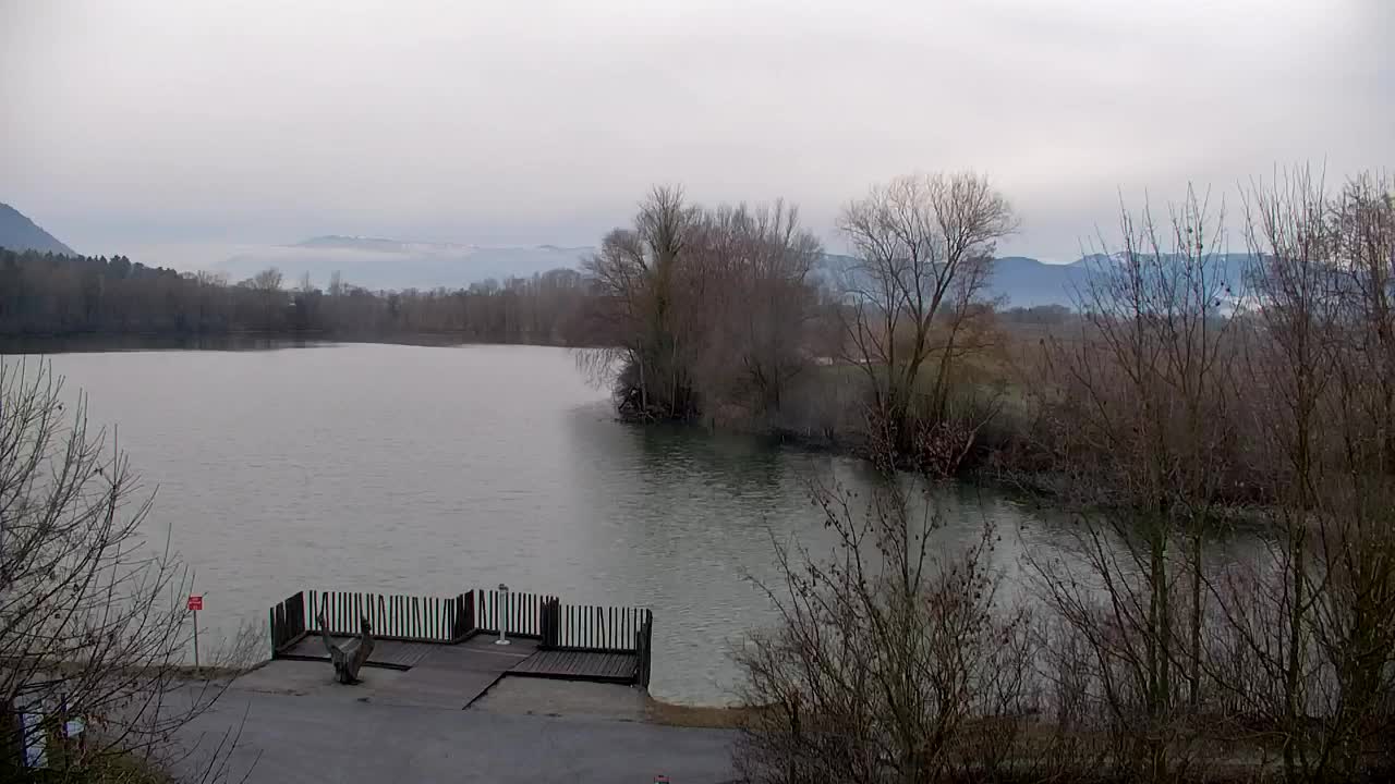 Webcam Ribnik Vrbje – Žalec