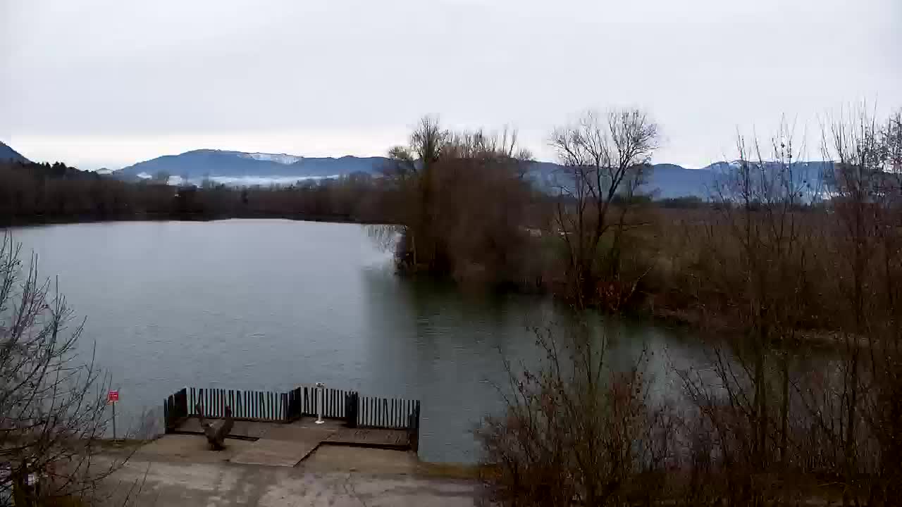 Spletna kamera Ribnik Vrbje – Žalec