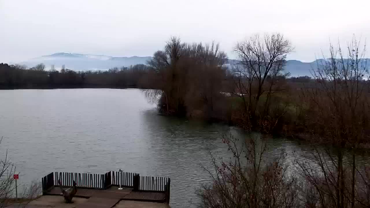 Webcam Ribnik Vrbje – Žalec