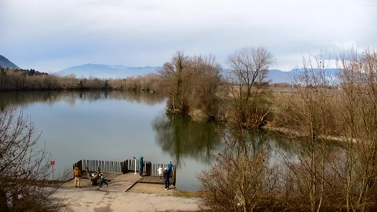 Webcam Ribnik Vrbje – Žalec