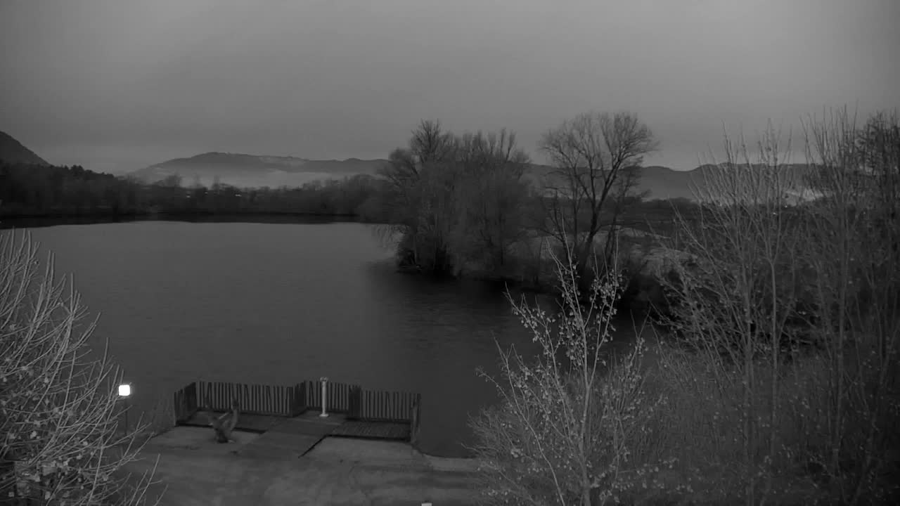 Webcam Ribnik Vrbje – Žalec