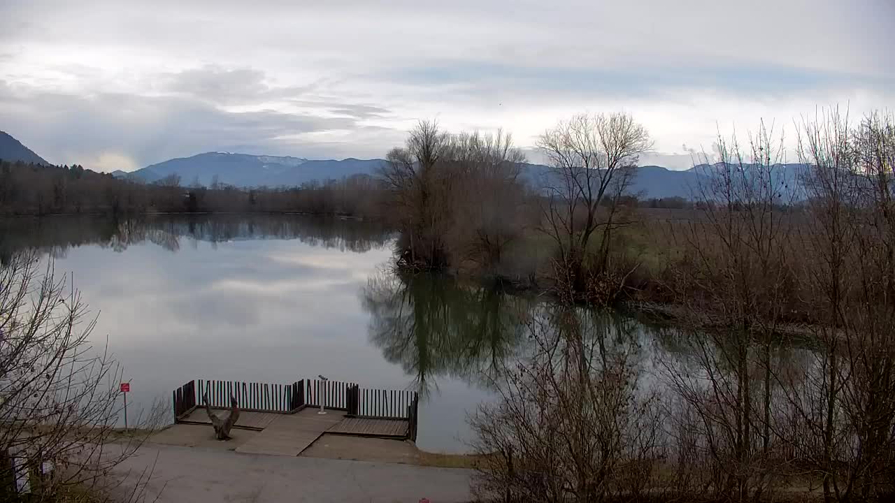 Spletna kamera Ribnik Vrbje – Žalec