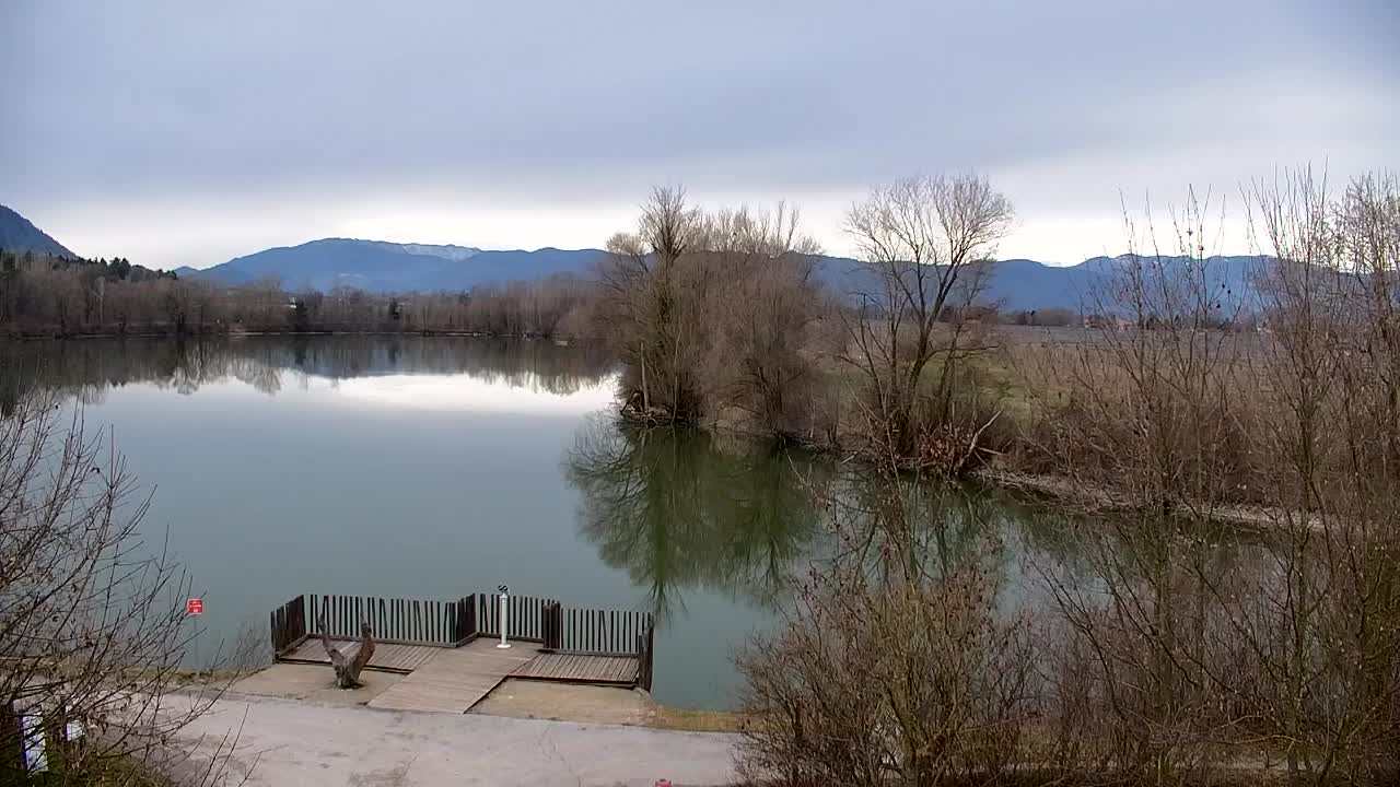 Spletna kamera Ribnik Vrbje – Žalec