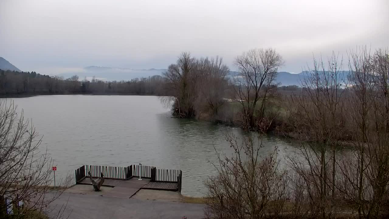 Webcam Ribnik Vrbje – Žalec