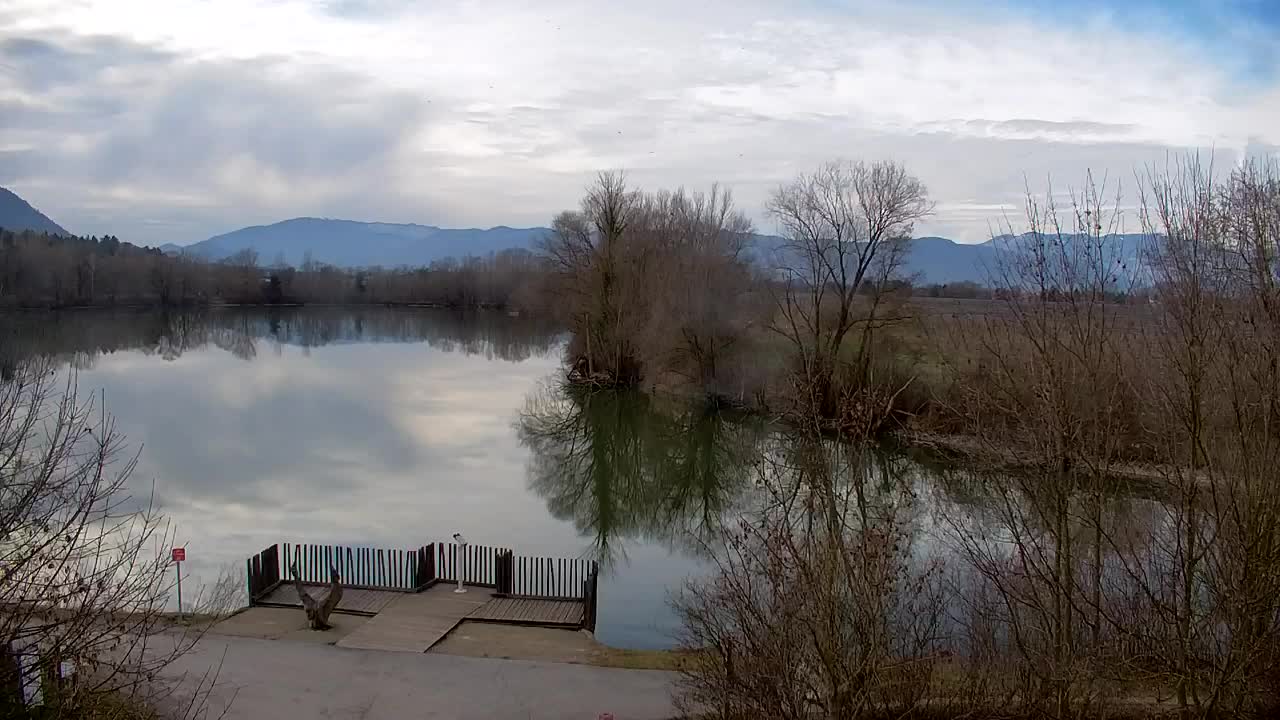 Webcam Ribnik Vrbje – Žalec