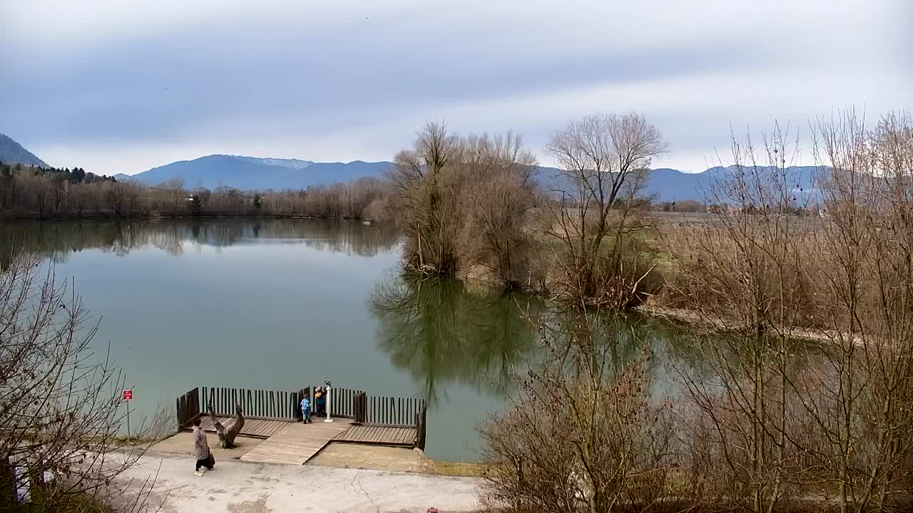 Spletna kamera Ribnik Vrbje – Žalec