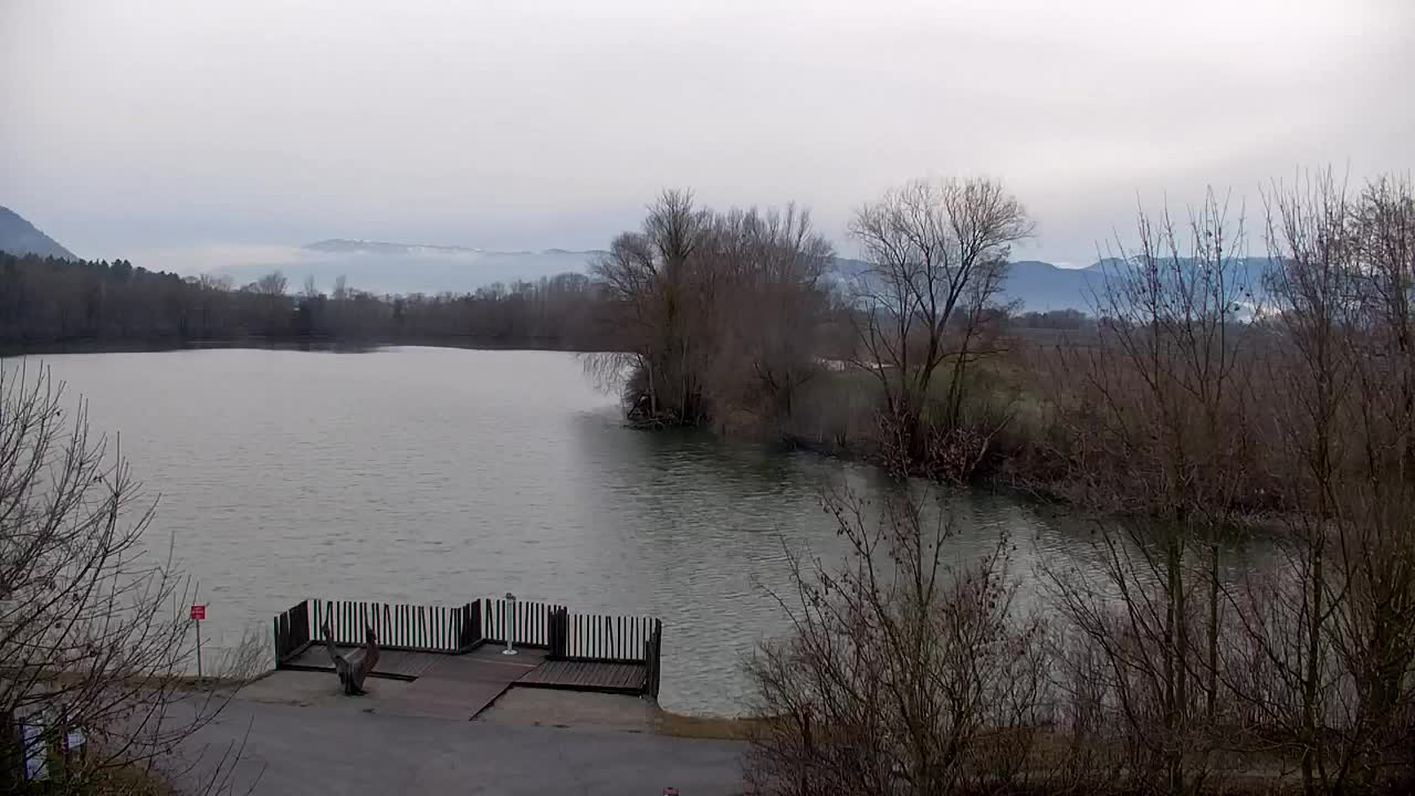 Webcam Ribnik Vrbje – Žalec