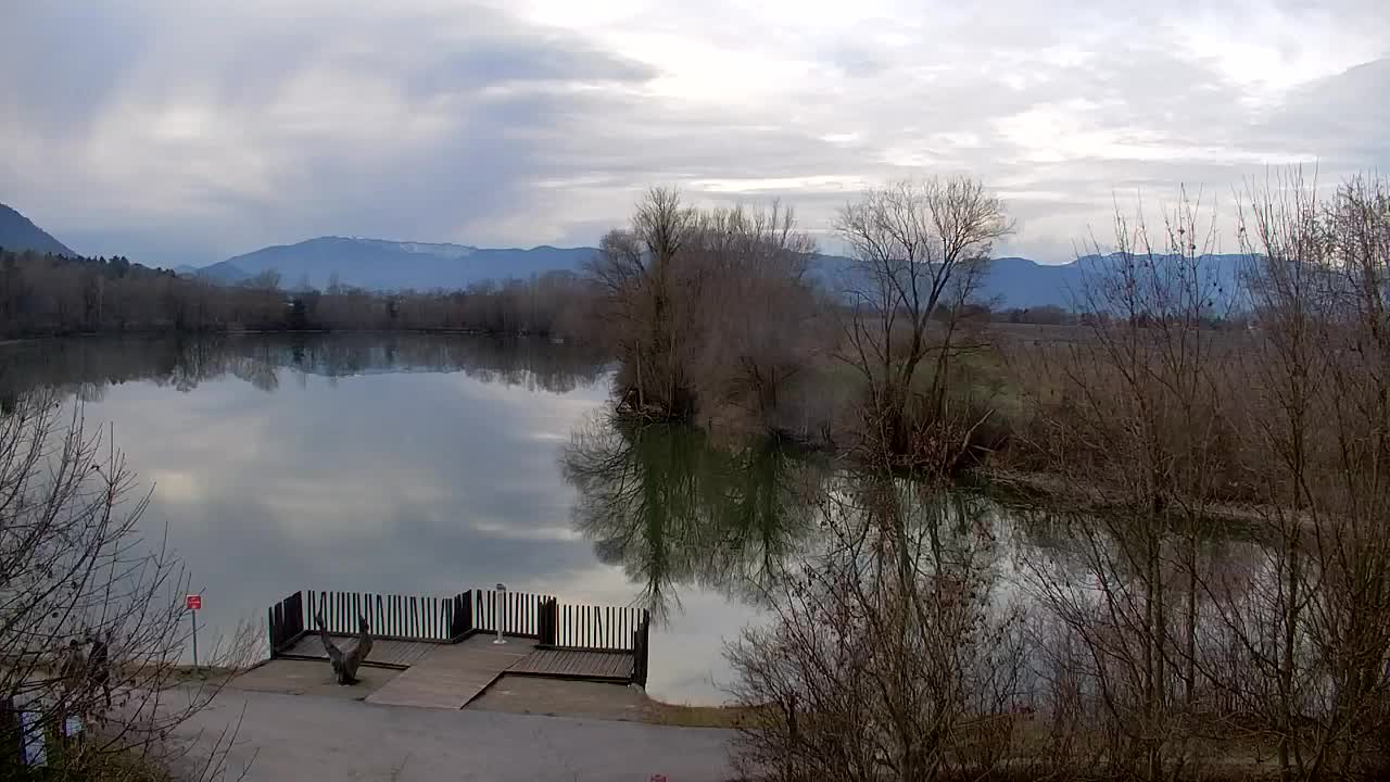 Webcam Ribnik Vrbje – Žalec