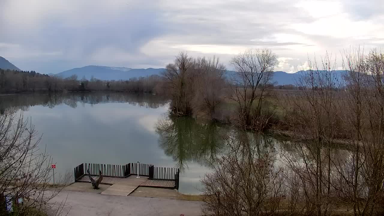 Spletna kamera Ribnik Vrbje – Žalec