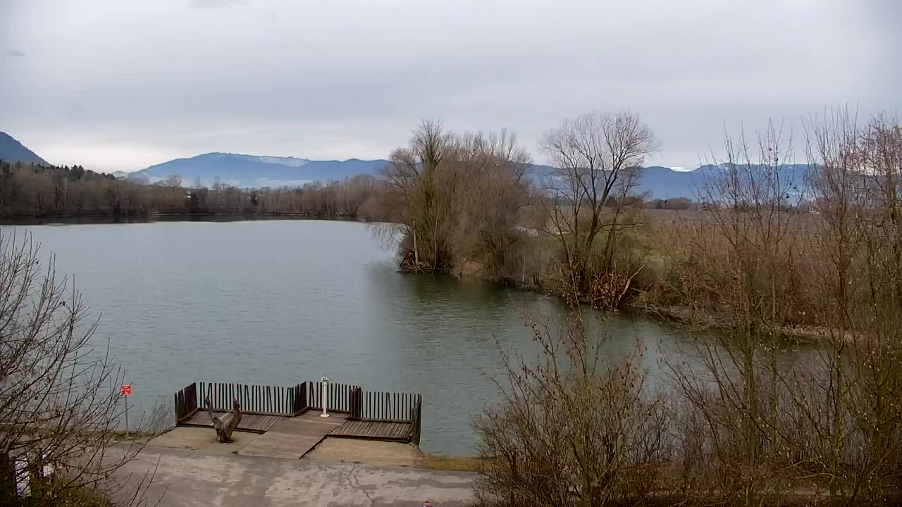 Webcam Ribnik Vrbje – Žalec