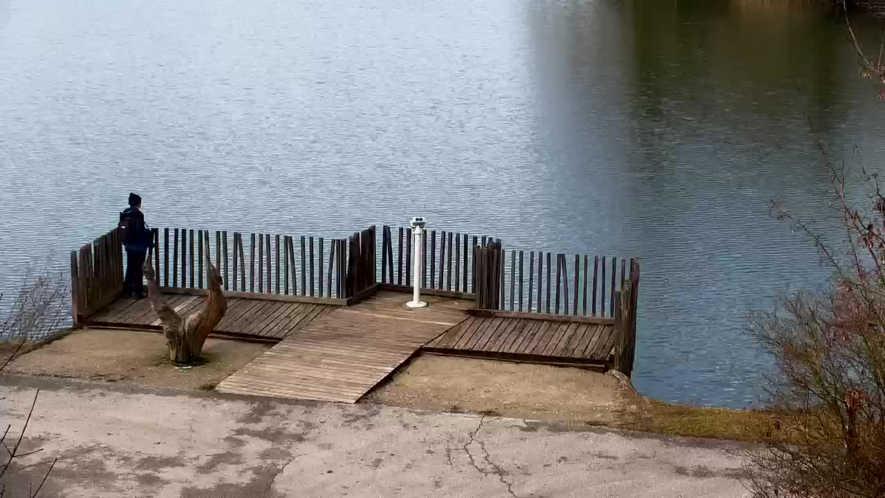 Spletna kamera Ribnik Vrbje – Žalec