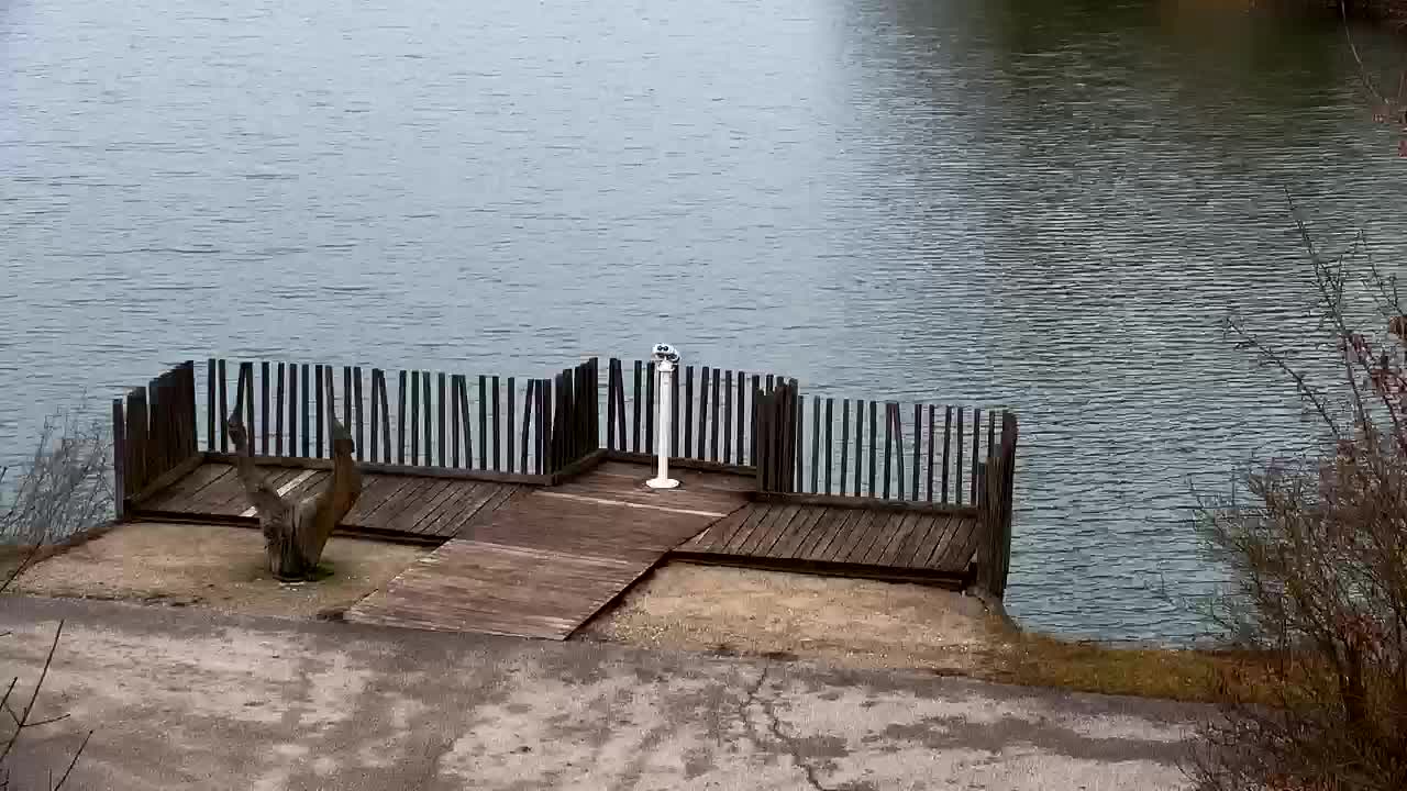 Webcam Ribnik Vrbje – Žalec