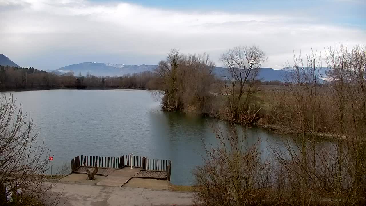 Web kamera Ribnik Vrbje – Žalec