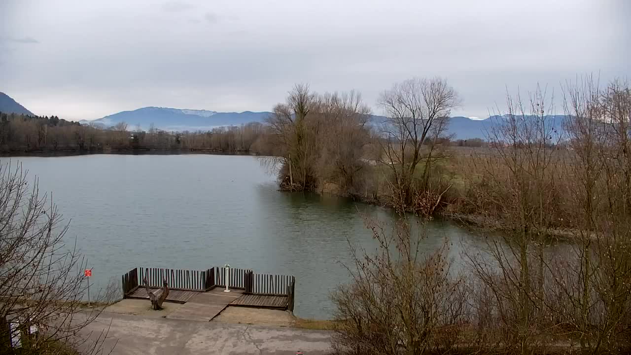 Webcam Ribnik Vrbje – Žalec