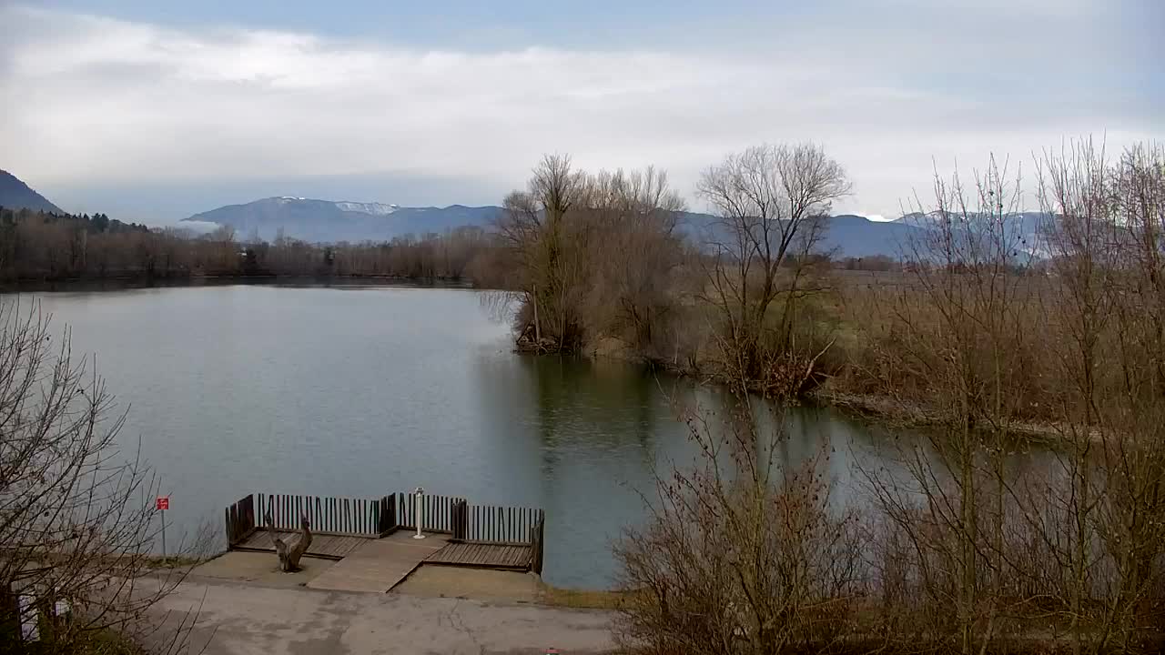 Webcam Ribnik Vrbje – Žalec