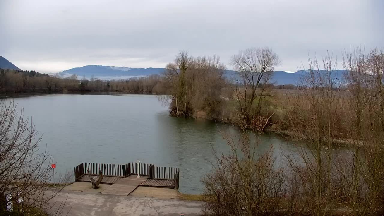 Spletna kamera Ribnik Vrbje – Žalec