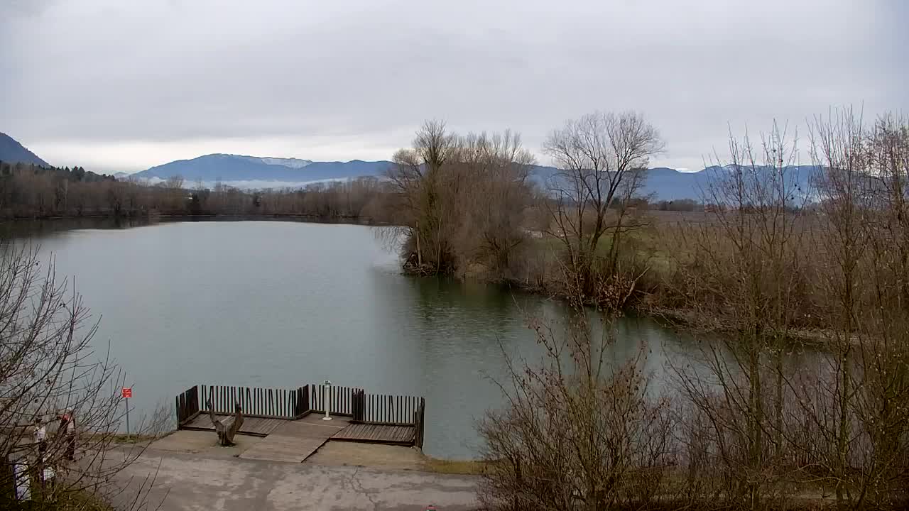 Webcam Ribnik Vrbje – Žalec