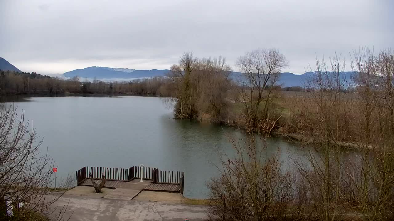 Webcam Ribnik Vrbje – Žalec