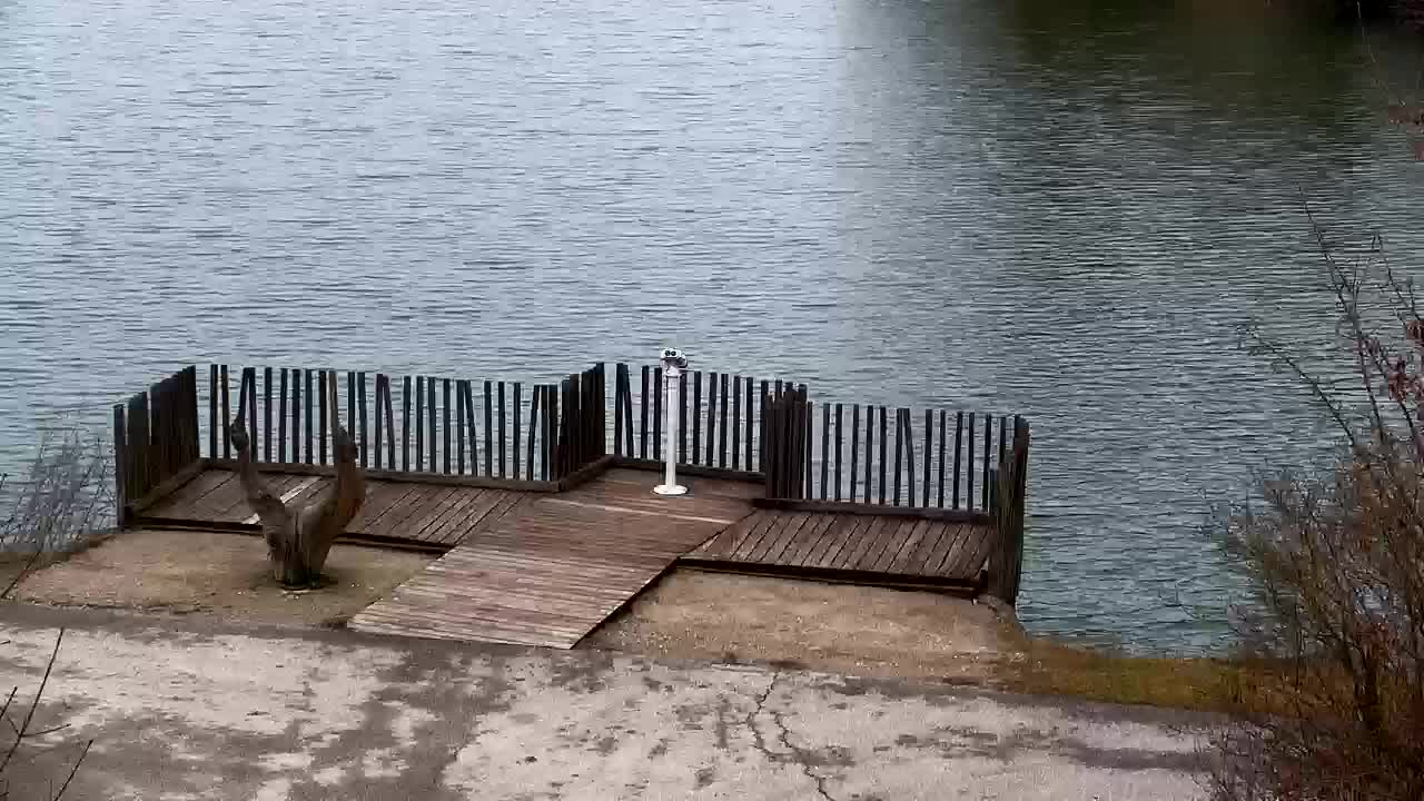 Spletna kamera Ribnik Vrbje – Žalec